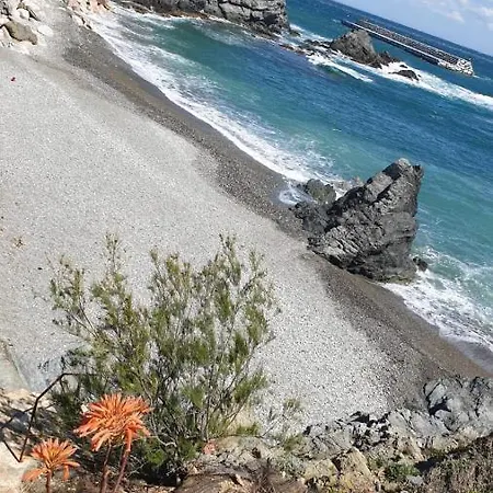 Port De , La Miranda *